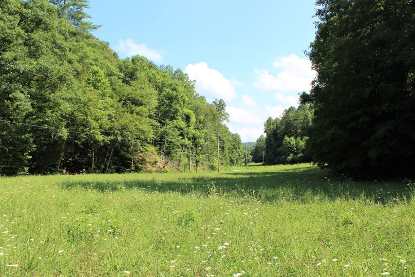 013 open field area currently being cut for hay in the center of the property