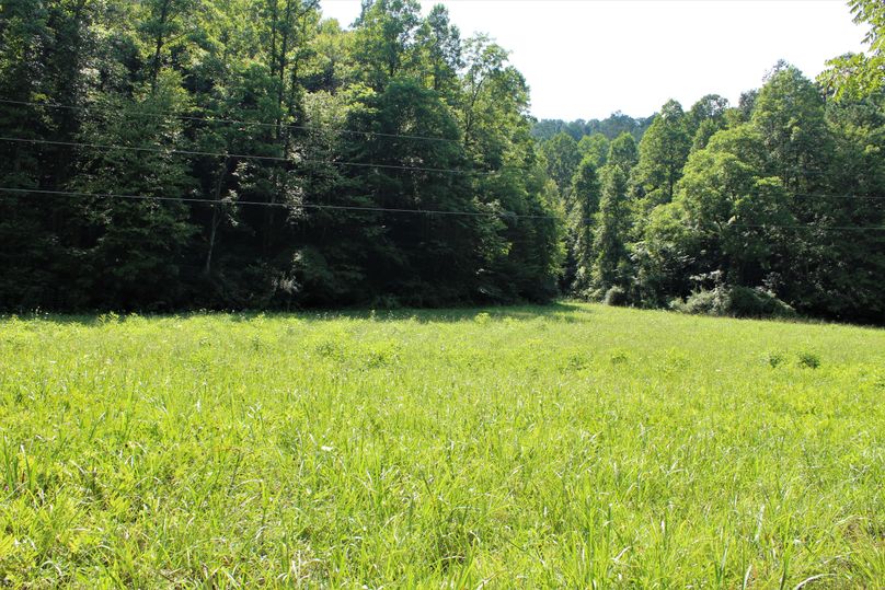 007 one of the open field areas near the north portion of the property