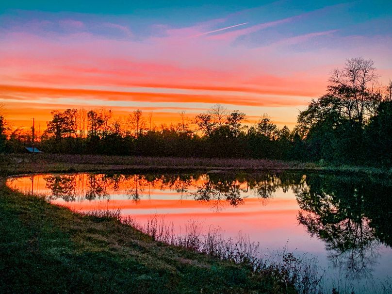 Private Country Estate With Home Whitetail Properties