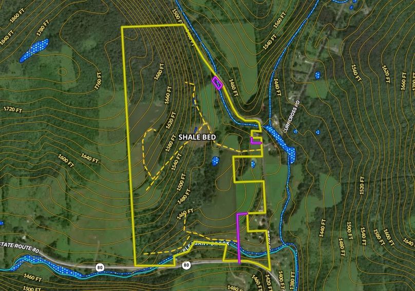 Chenango 156 Cole Topo