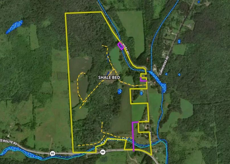 Chenango 156 Cole Google