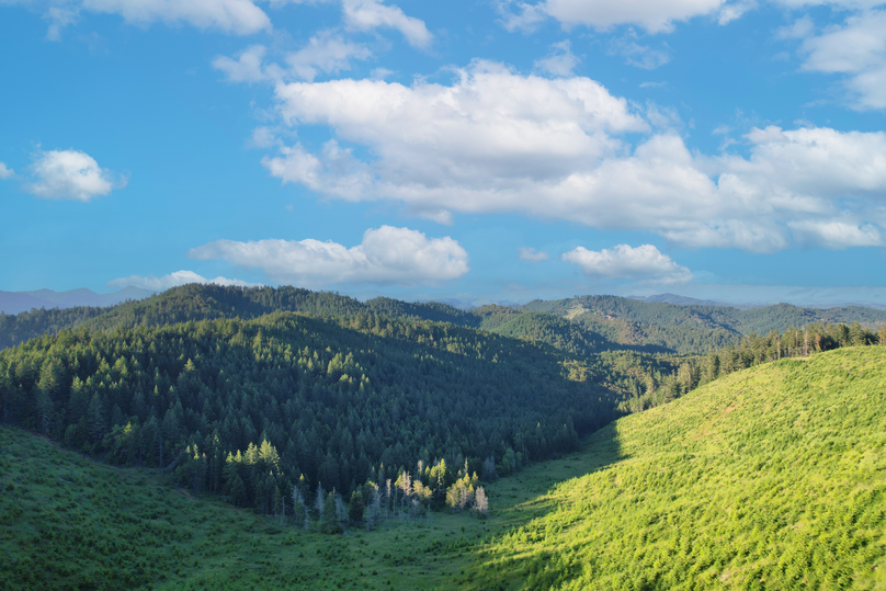 Douglas 160 Wright 3 HR