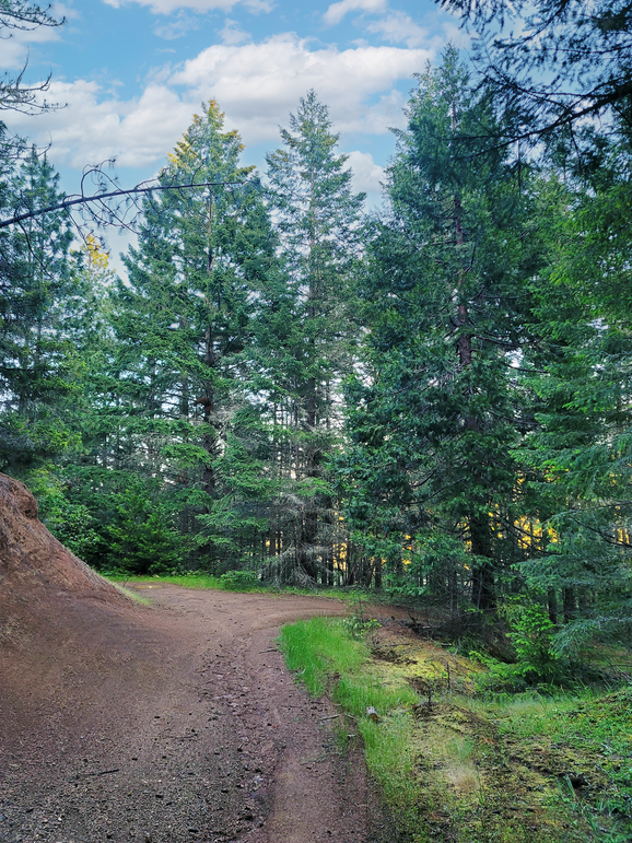 Douglas 160 Wright ground