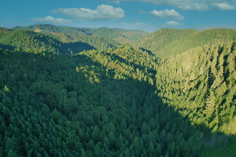 Douglas 160 Wright 2 HR