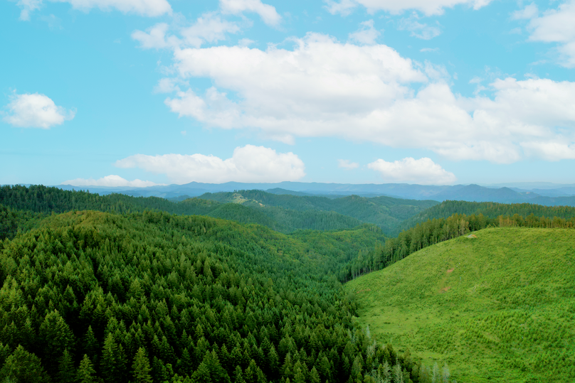 Douglas 160 Wright 1 HR