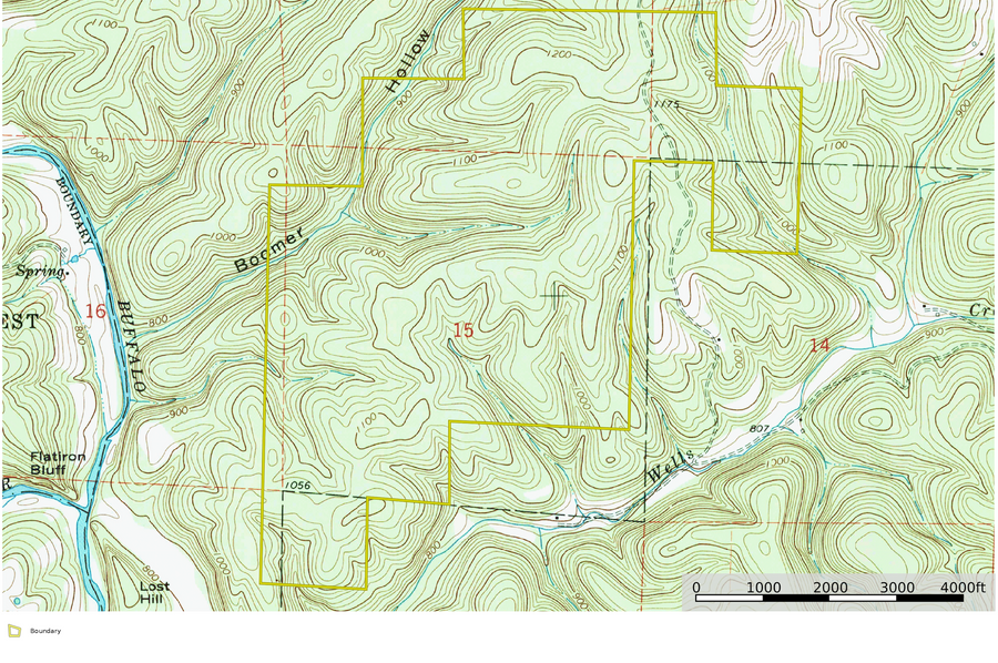 Woods Topo