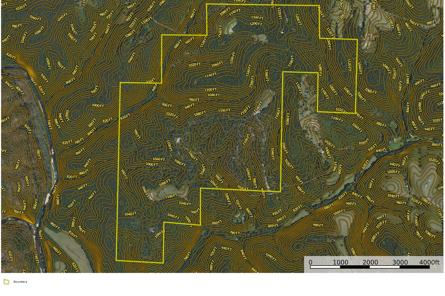 Woods Google Contour