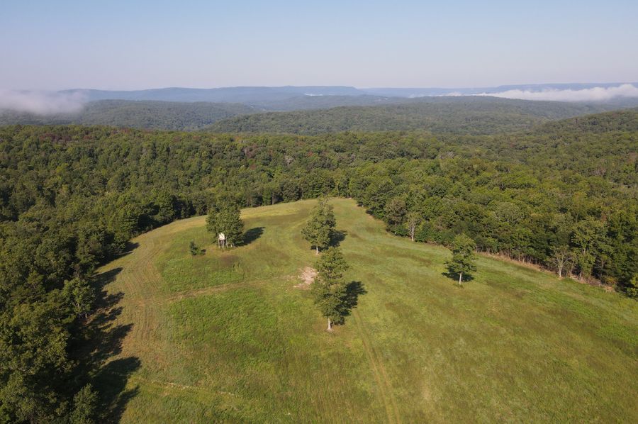 DJI_0741