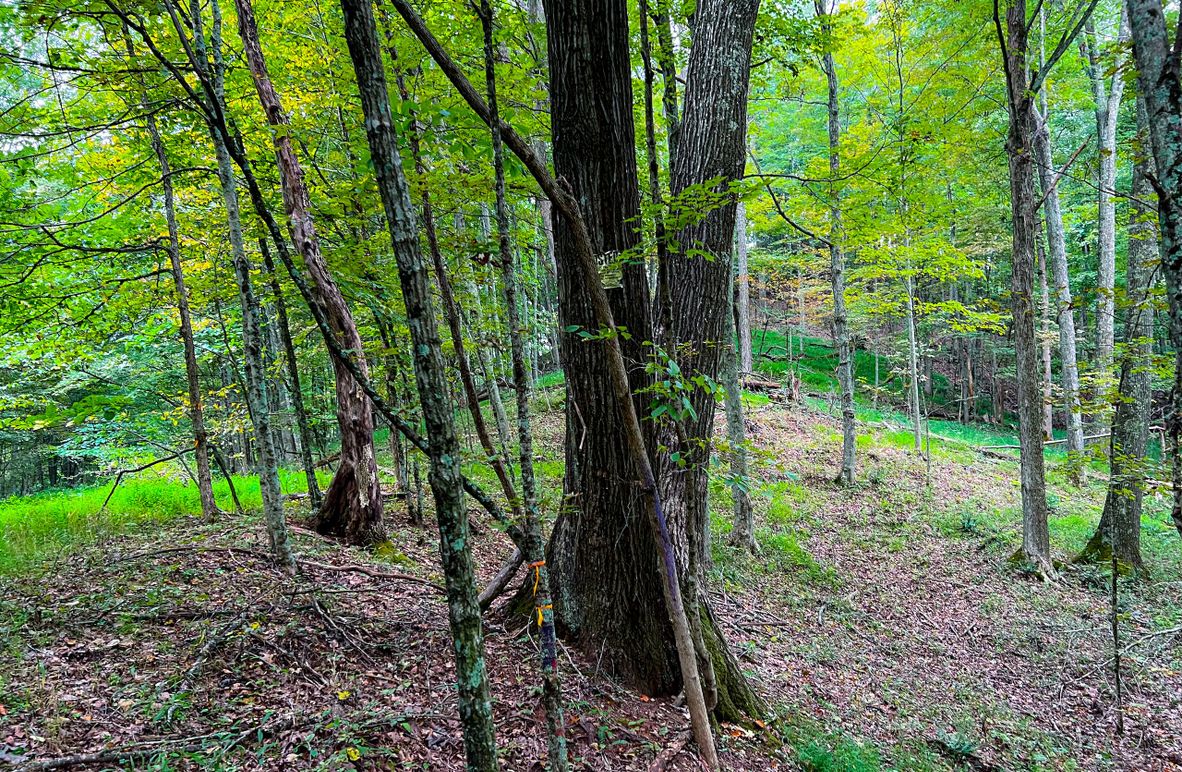 Ritchie,  WV 129.05 AC Wilson-02