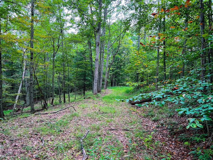 Ritchie,  WV 129.05 AC Wilson-34