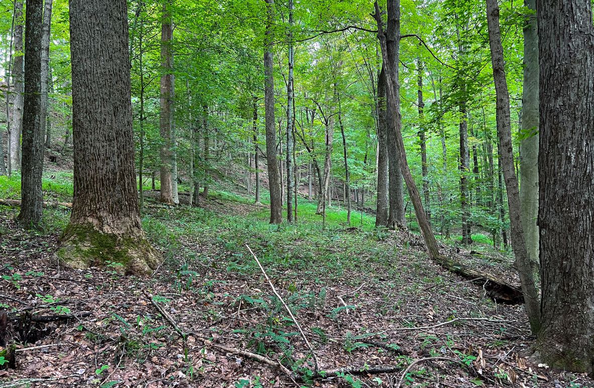 Ritchie,  WV 129.05 AC Wilson-01