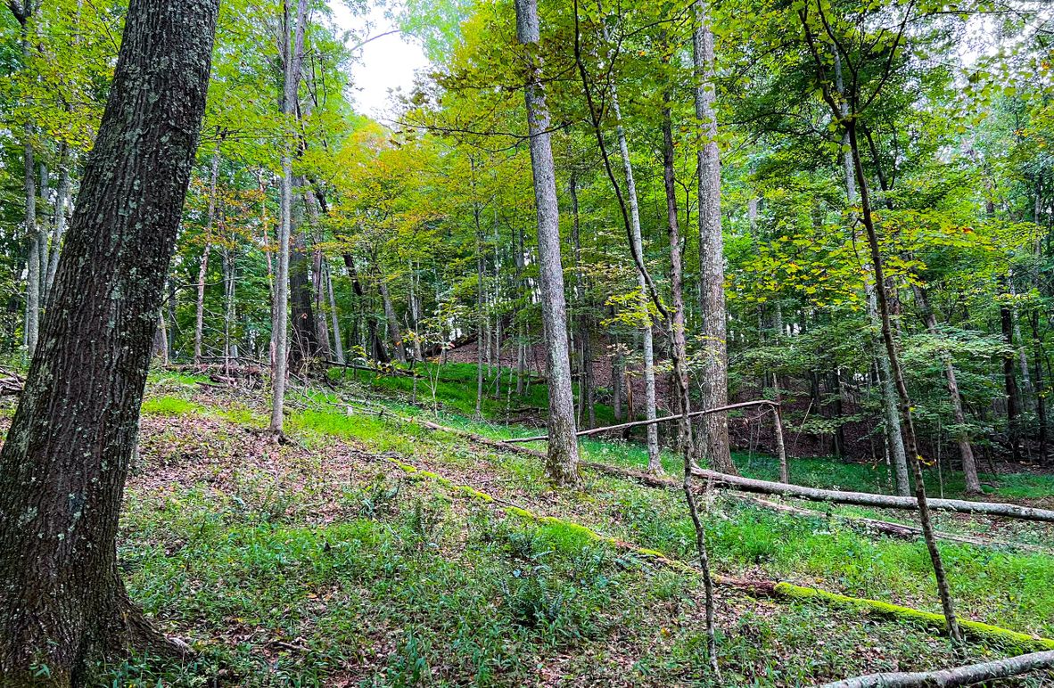 Ritchie,  WV 129.05 AC Wilson-04