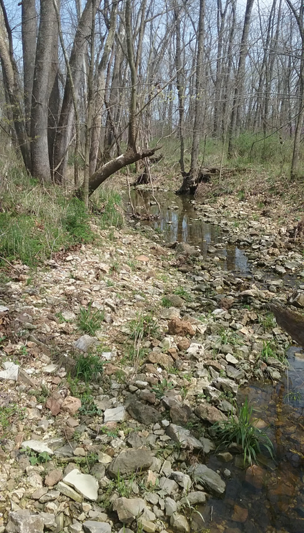 Screenshot_20220320-094208