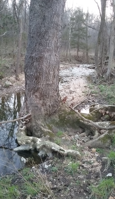 Screenshot_20220320-094057