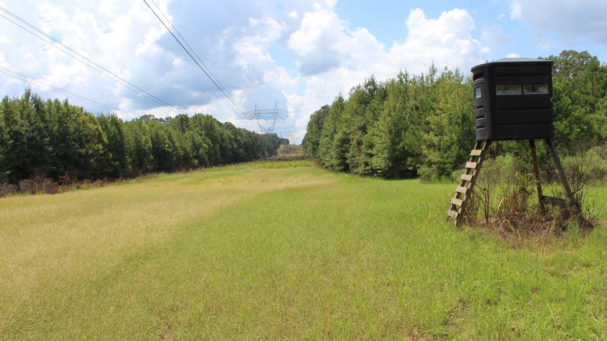 Good Hunting Tract Near Raymond | Whitetail Properties