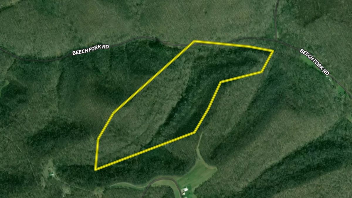 AllWooded Hunting Tract With Big Buck Potential In SouthWest Ohio