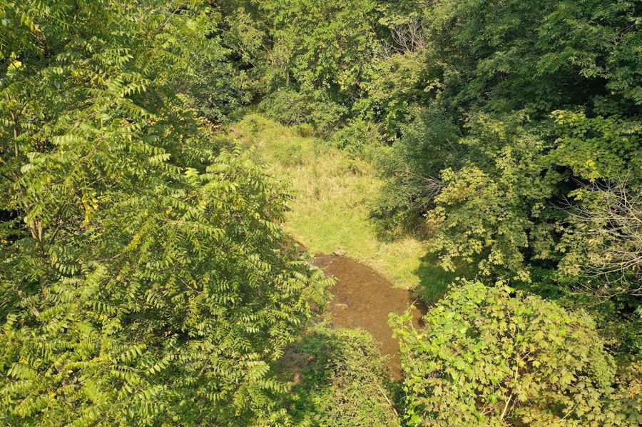 DJI_0834