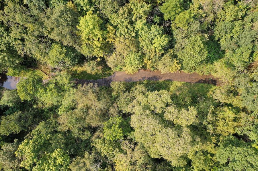 DJI_0845