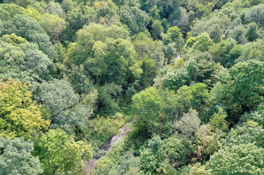 DJI_0838