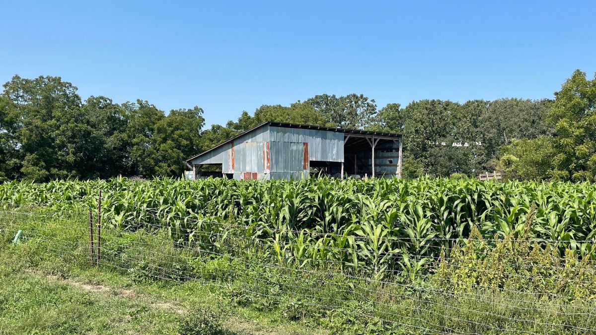 Urbanization alters atmospheric dryness through land ... - Nature