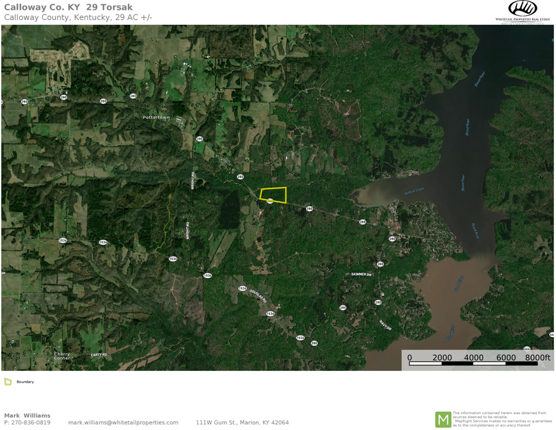 Calloway co. KY 29 airplane