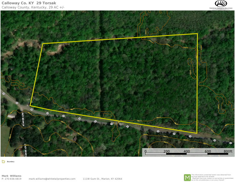 Calloway co. KY 29 topo