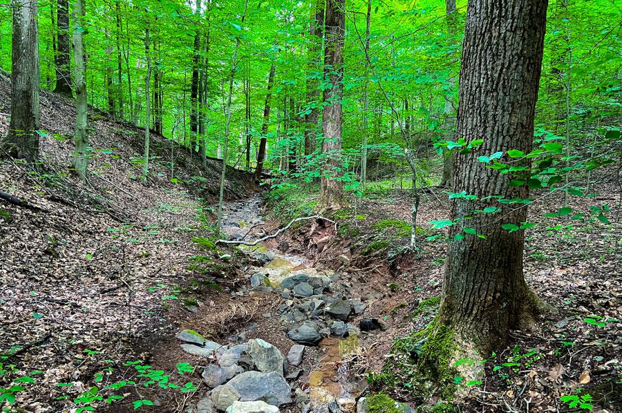 Ritchie, WV 62 AC Watson-01