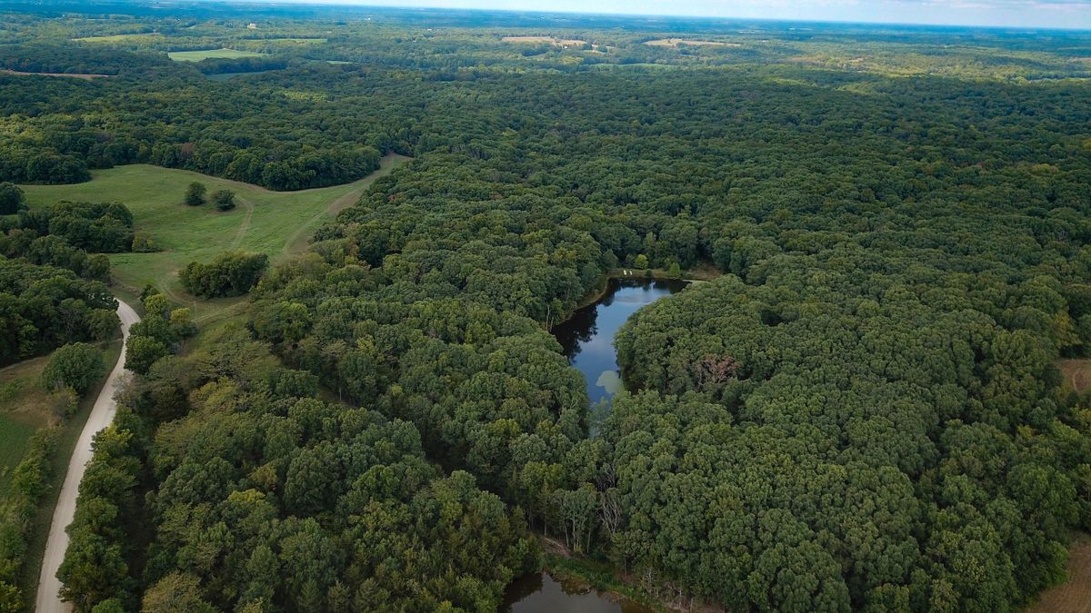 Recreational Property With Lake, Ponds And Hardwood Timber Near