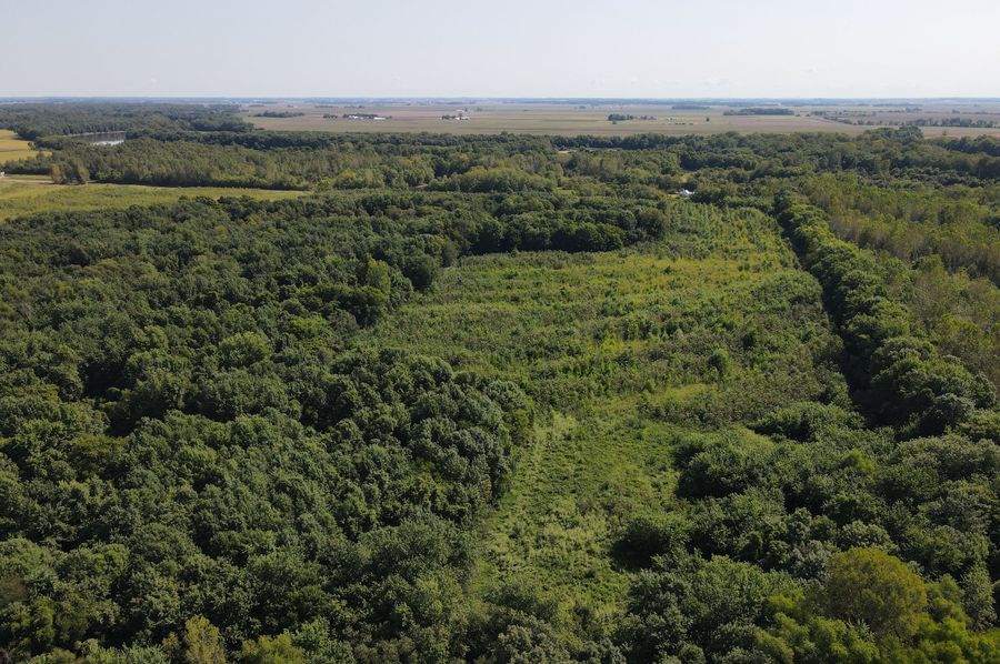 DJI_0148