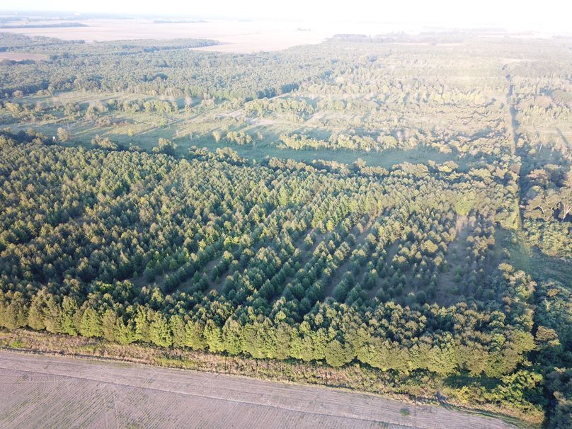 DJI_0366