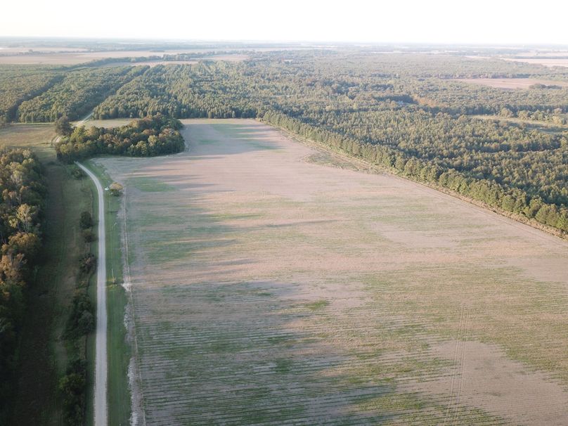 DJI_0359