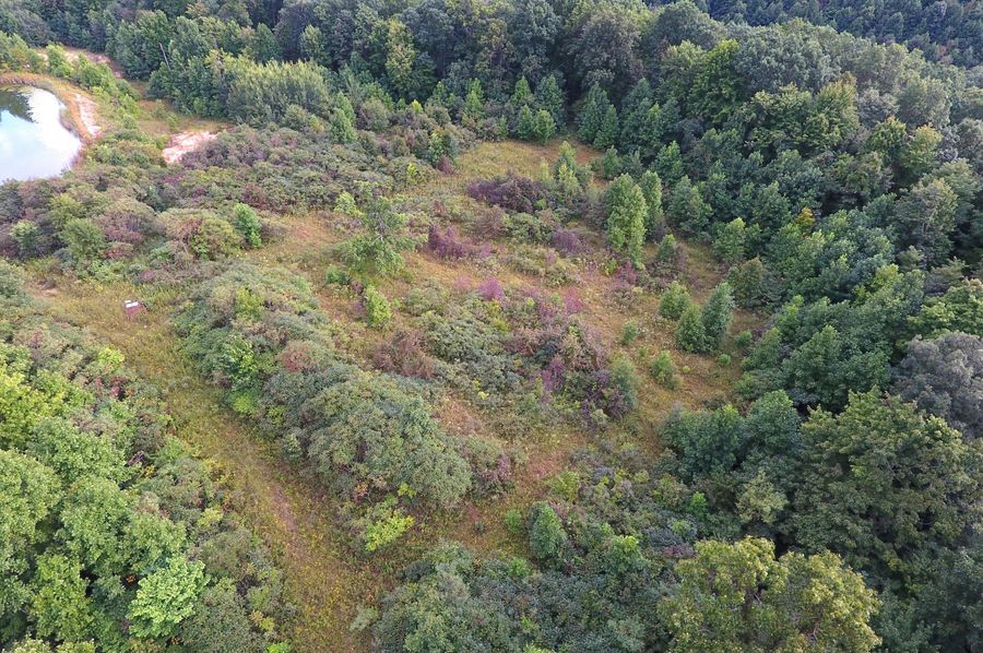 DJI_0088_1129