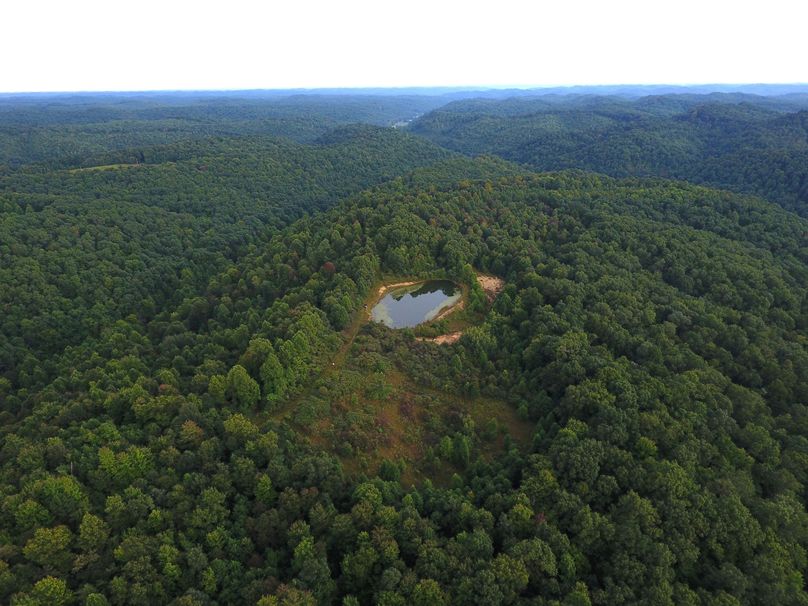 DJI_0036_1119