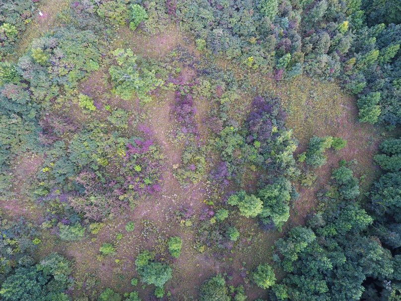 DJI_0086_1128