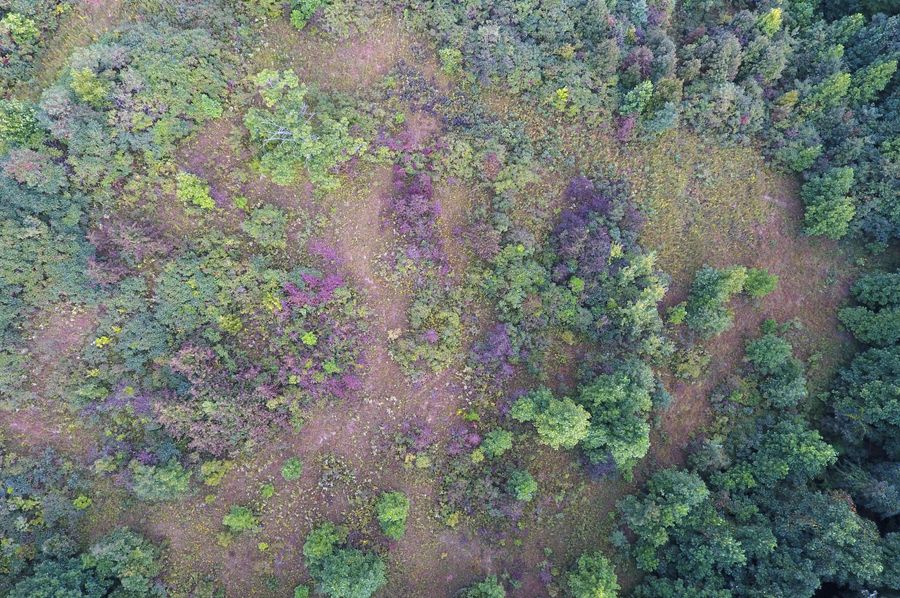 DJI_0086_1128