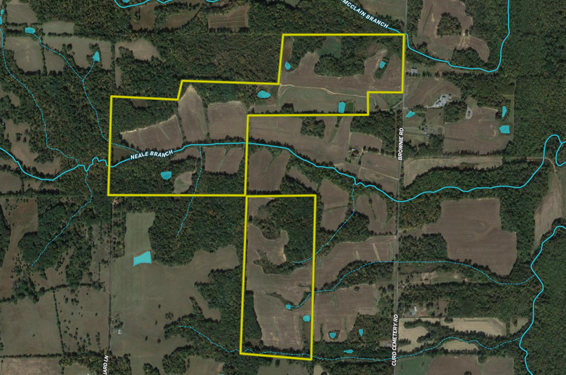 Screen Shot 2022-09-14 at 9.13.06 AM