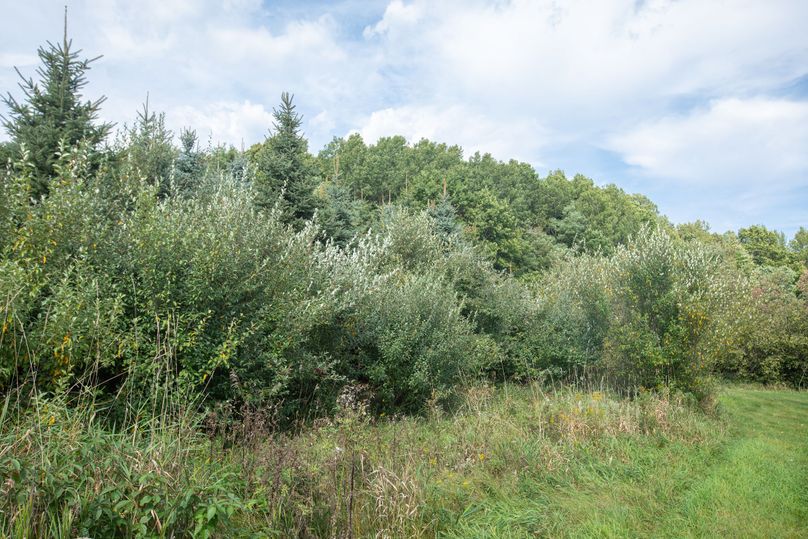 15 JSO_9099