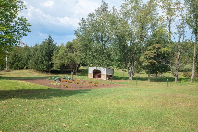 7 JSO_9087