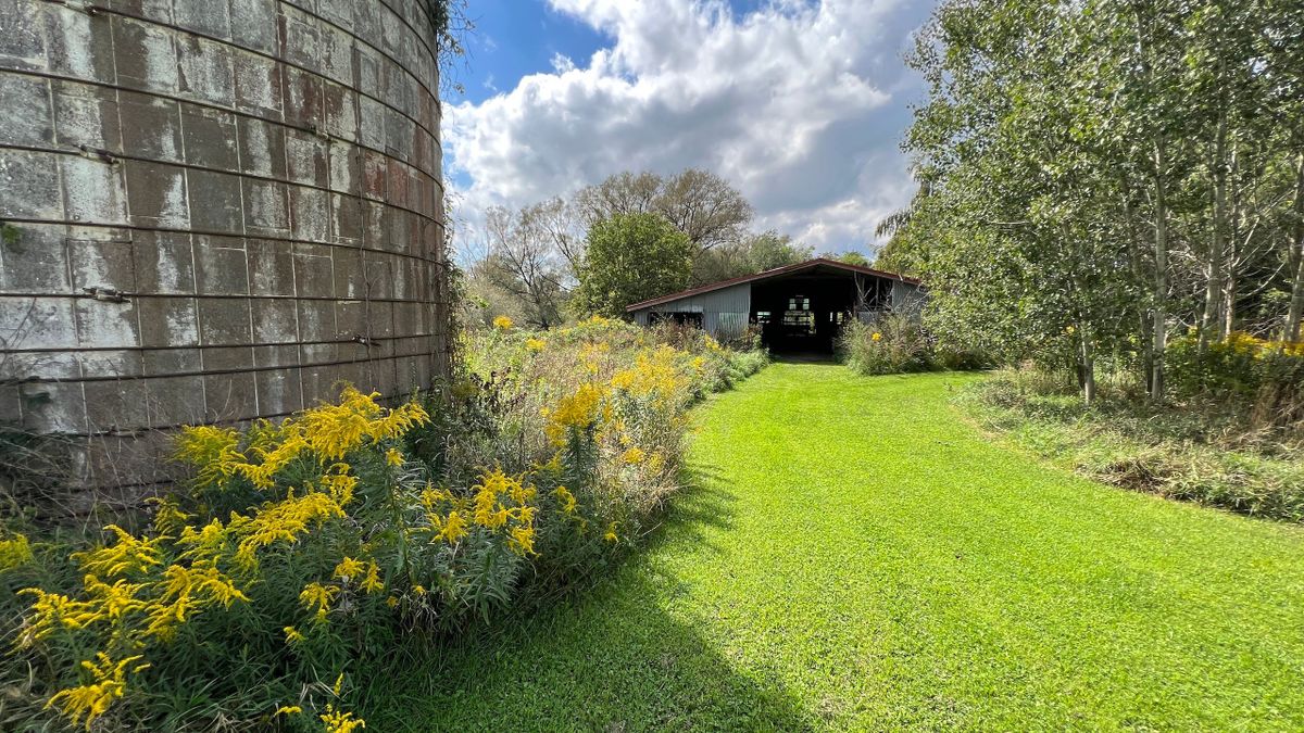 Recreational Property With Wetland Reserve Easement Whitetail Properties