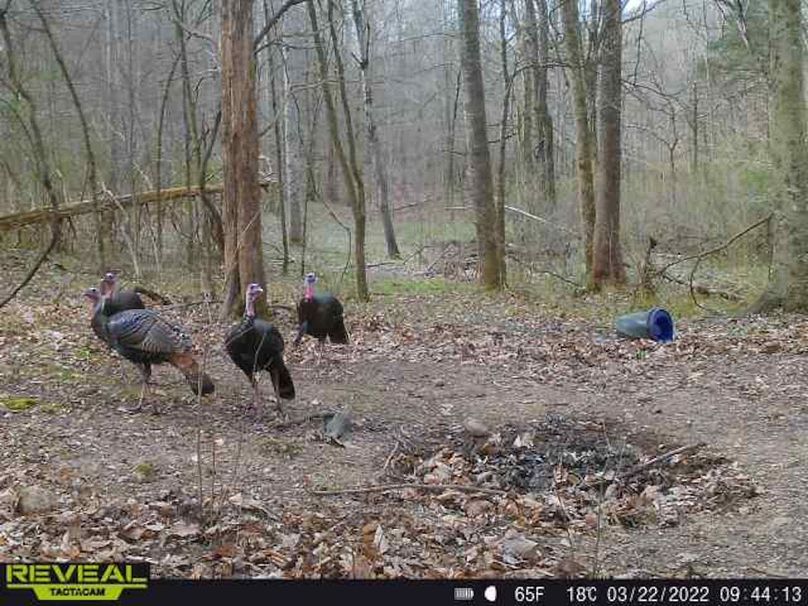 9cf91f15-b9a7-4ef5-9004-ba639565670b