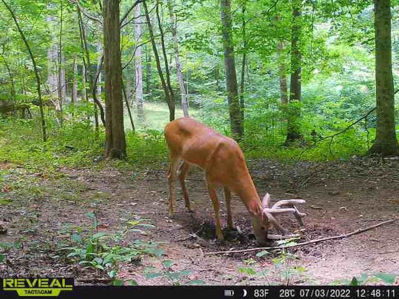 3413341c-193e-4a63-83af-8c3a1859ea7f