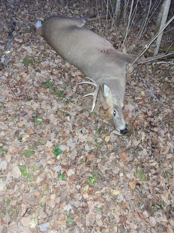 Resized-20211106-181647