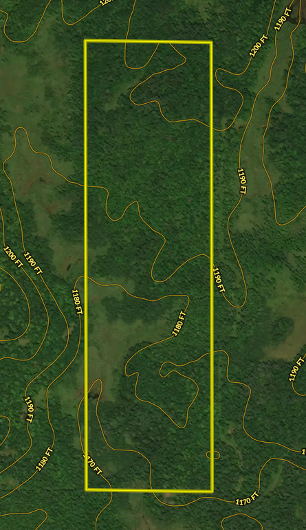 Screen Shot 2022-09-25 at 9.41.23 AM