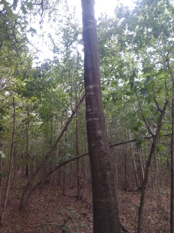 IMG_20220925_162526026