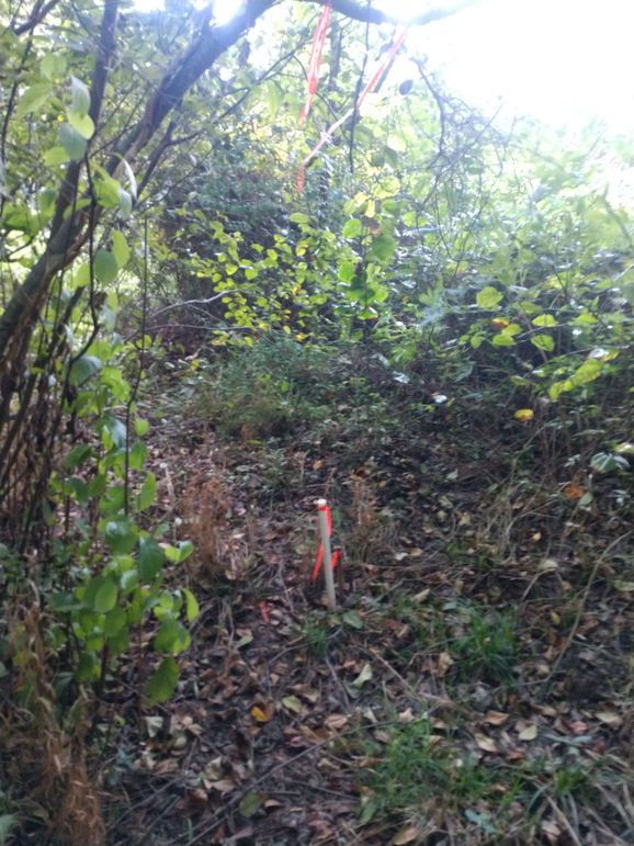 IMG_20220925_161827142