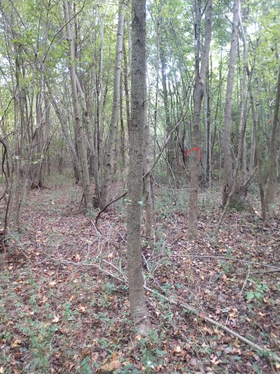 IMG_20220925_155956336