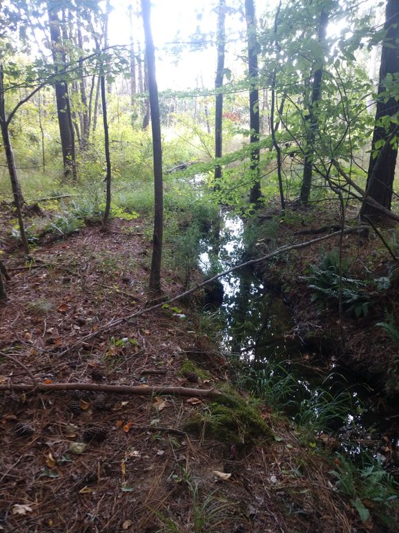 IMG_20220925_161410958