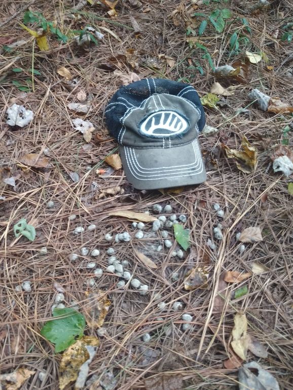 IMG_20220925_162639292