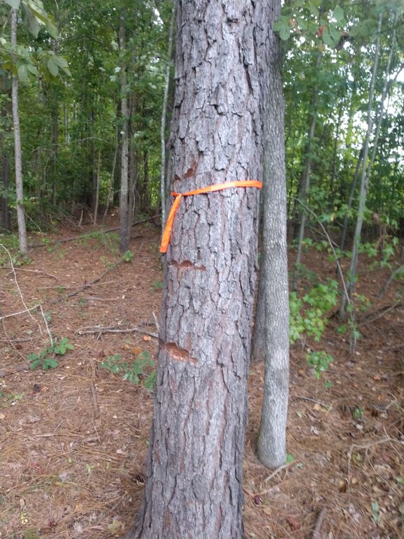 IMG_20220925_161523517