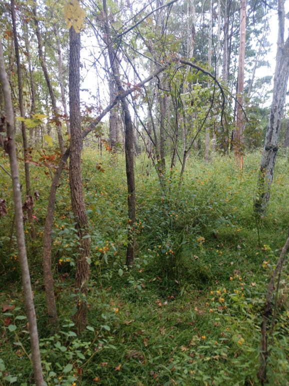 IMG_20220925_161023861